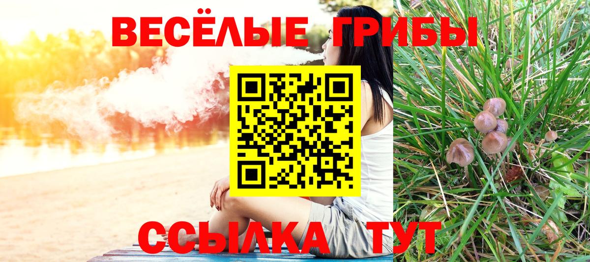 наркотики  Галлюциногенные грибы Magic Shrooms  Вход с VPN  Конаково  Псилоцибиновые грибы GOLDEN TEACHER 