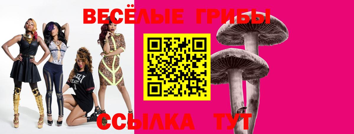 Галлюциногенные грибы Magic Shrooms Конаково